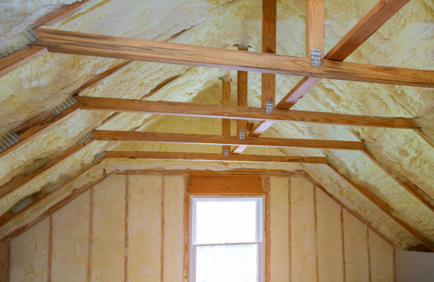 Best Cellulose Insulation in Coopersville, MI